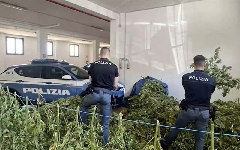 Piantagione Marijuana Fonni