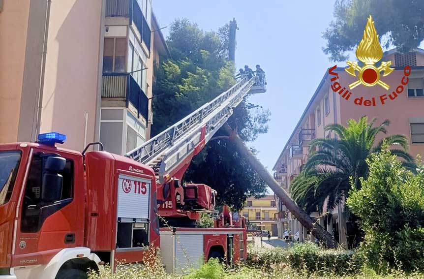 Albero cade palazzina Assemini