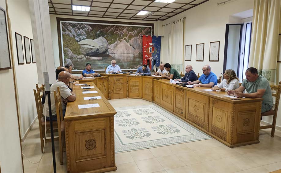 Consiglio comunale Monti