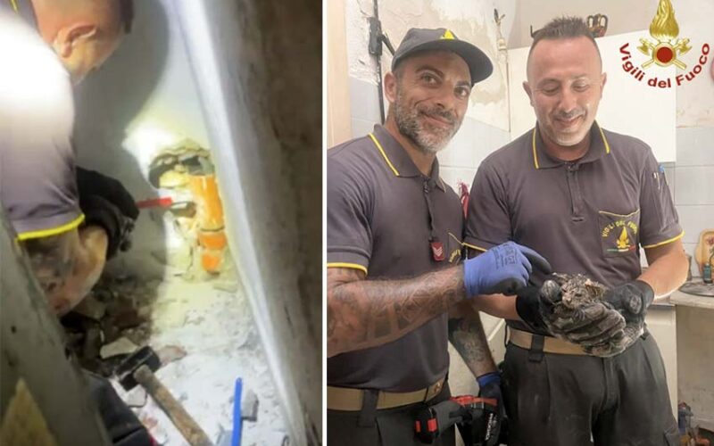 Gattino salvato a Ittiri