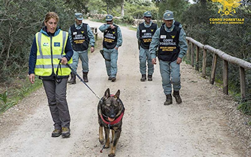 Gruppo cinofili Corpo forestale