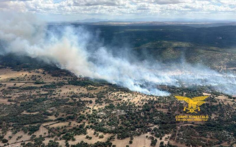 Incendio Budduso 2