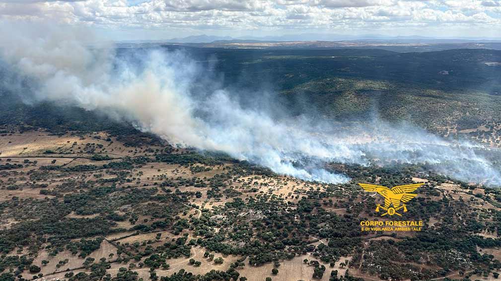 Incendio a Buddusò, in fumo 100 ettari di sugherete e pascoli alberati 1 Incendio Budduso 2