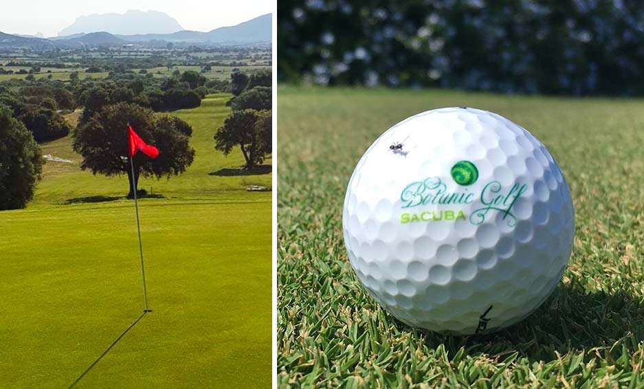 Olbia, open day al Botanic Golf Sa Cuba 1 Botanic Golf Olbia