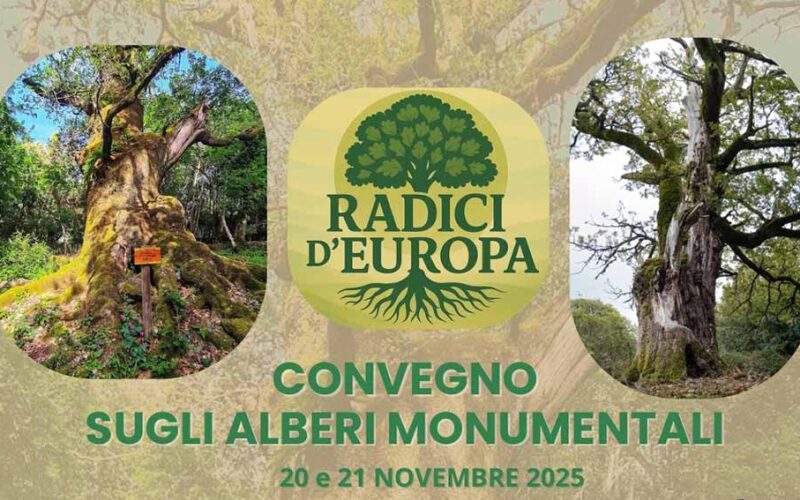 Convegno alberi monumentli a Illorai