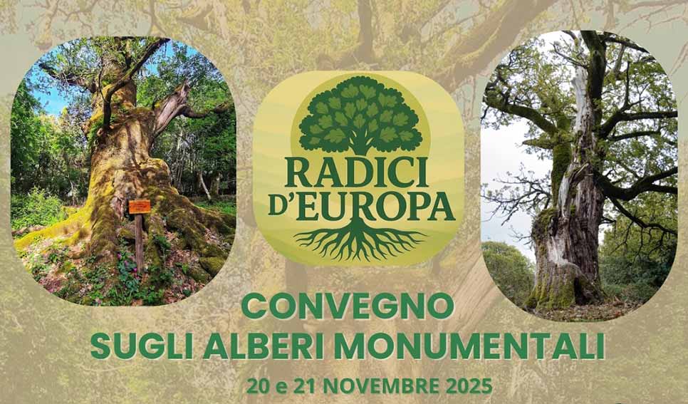 A Illorai il 20-21 novembre un convegno sugli alberi monumentali 1 Convegno alberi monumentli a Illorai