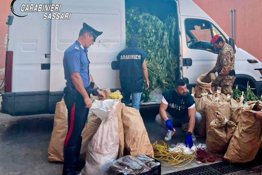 Due arresti Arzachena piantagione di marijuana