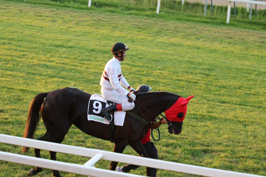 Giurainfalsu