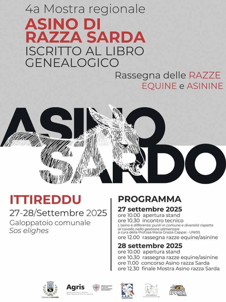 Locandina mostra Asino sardo ittireddu 2025