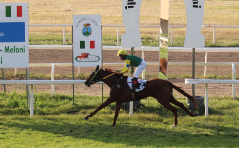 Ippodromo di Chilivani: primi successi per Erimu, Grace de Nule, Floris de l'Alguer e Giamaica de Bonorva 1 Poison de lAlguer nella vittoria del 7 6 25 IMG 2745