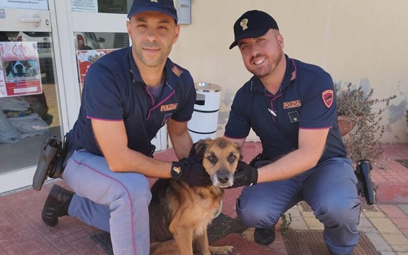 Sassari Plozia di Stato salva cane maltrattato