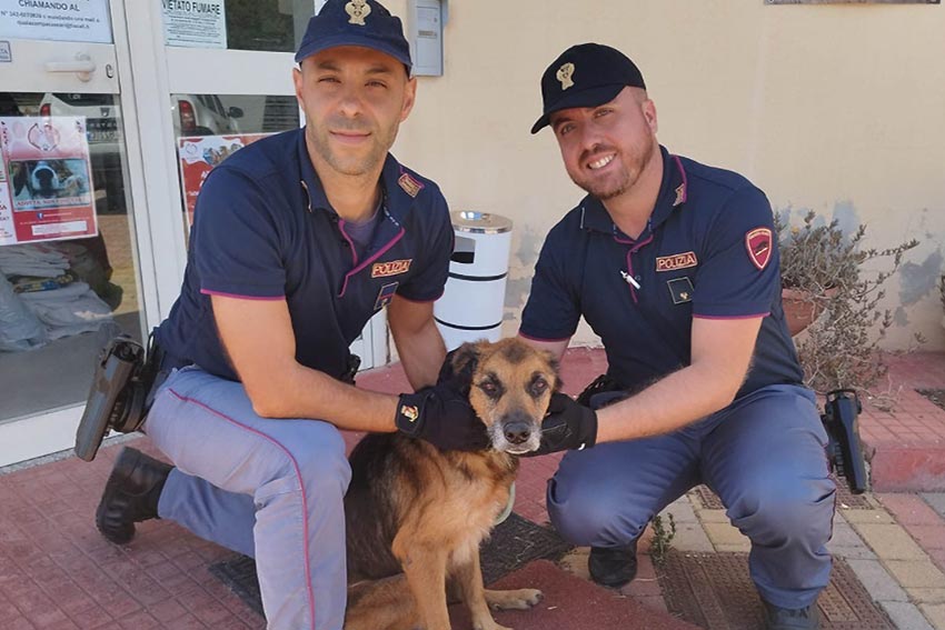 Sassari Plozia di Stato salva cane maltrattato