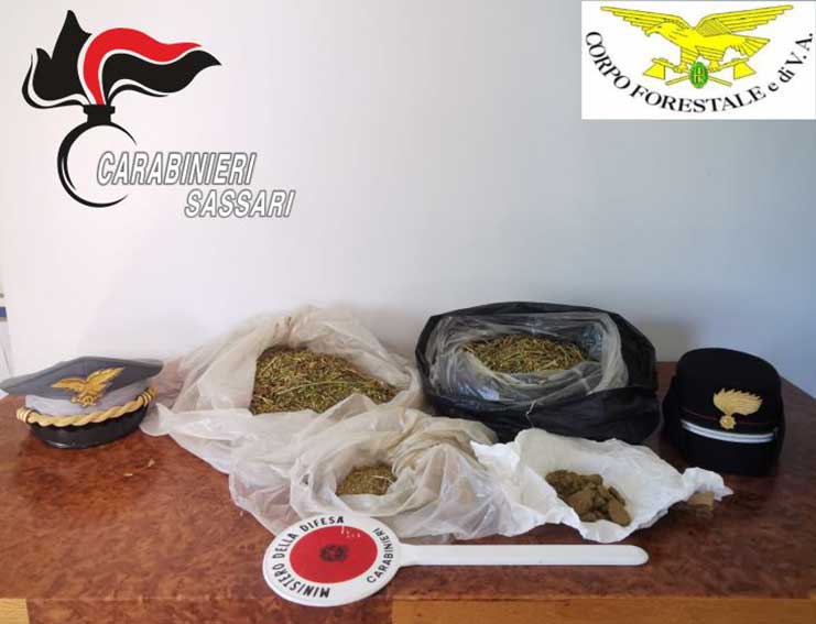 Sequesro Marijuana e hashish Lura Luogosanto
