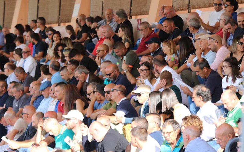 Tribuna affollata allippodromo di Chilivani