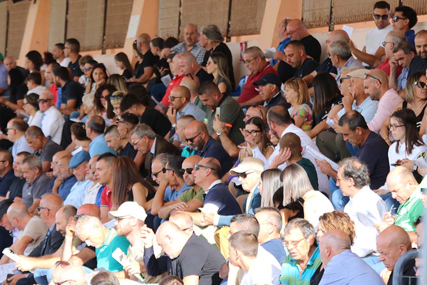 Ippodromo di Chilivani, i pronostici della quinta giornata di corse della riunione estiva 1 Tribuna affollata allippodromo di Chilivani