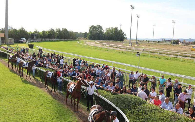 ippodromo di Chilivani cavalli al tondino
