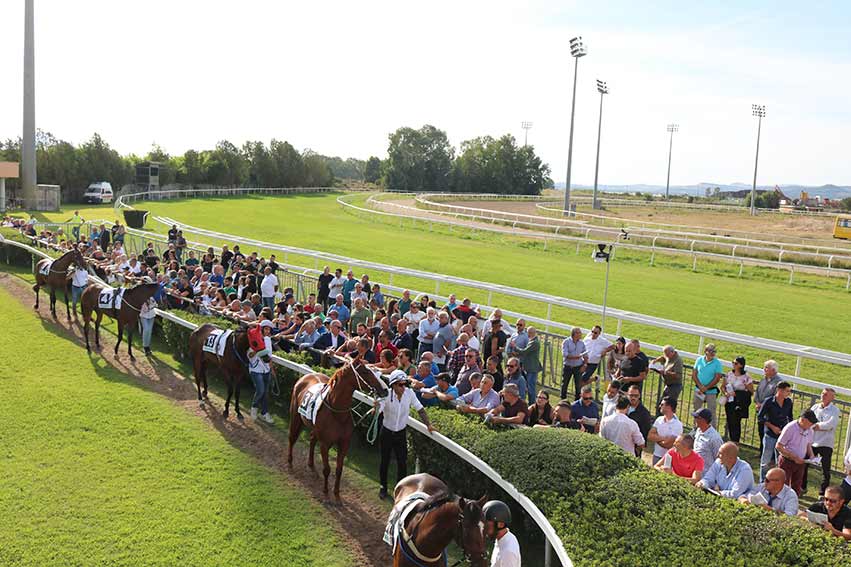 ippodromo di Chilivani cavalli al tondino