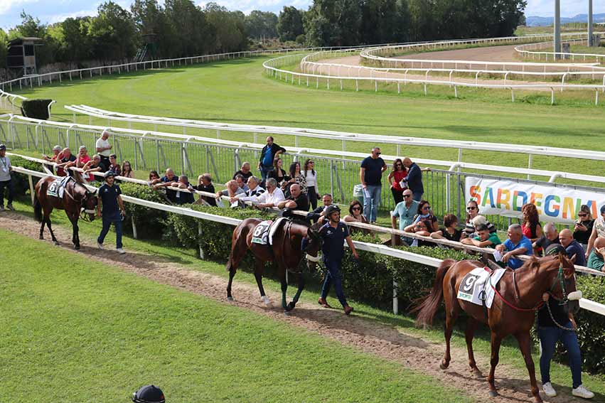 Ippodromo di Chilivani, i pronostici delle corse di questo pomeriggio 1 Cavalli al tondino