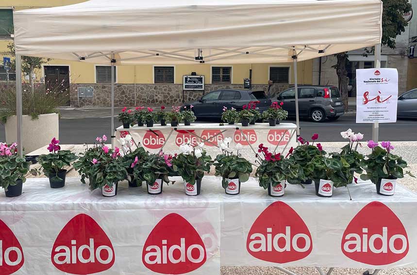 "Giornata del Sì", l'Aido di Ozieri in piazza per promuovere la donazione di organi, tessuti e cellule 1 Giornata del Si Aido Ozieri
