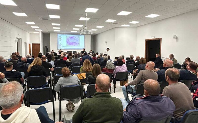 Incontro a Monti speculazione eolica e fotovoltaica