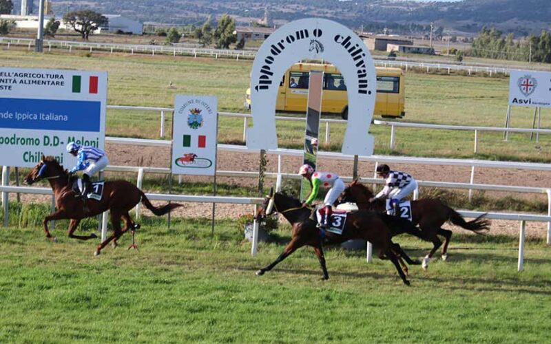 Ippodromo di Chilivani, quinta vittoria per Sofia Valenzesca. Ok anche Galusé boy, Giorgetto e Granata 17 Larrivo di Galuse Boy