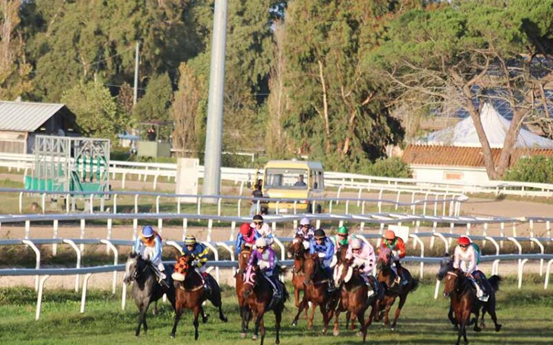 Ippodromo Chilivani, 3ª giornata della riunione autunnale con corse di routine, periziate e condizionate 20 Partenza Corse ippodromo Chillivani