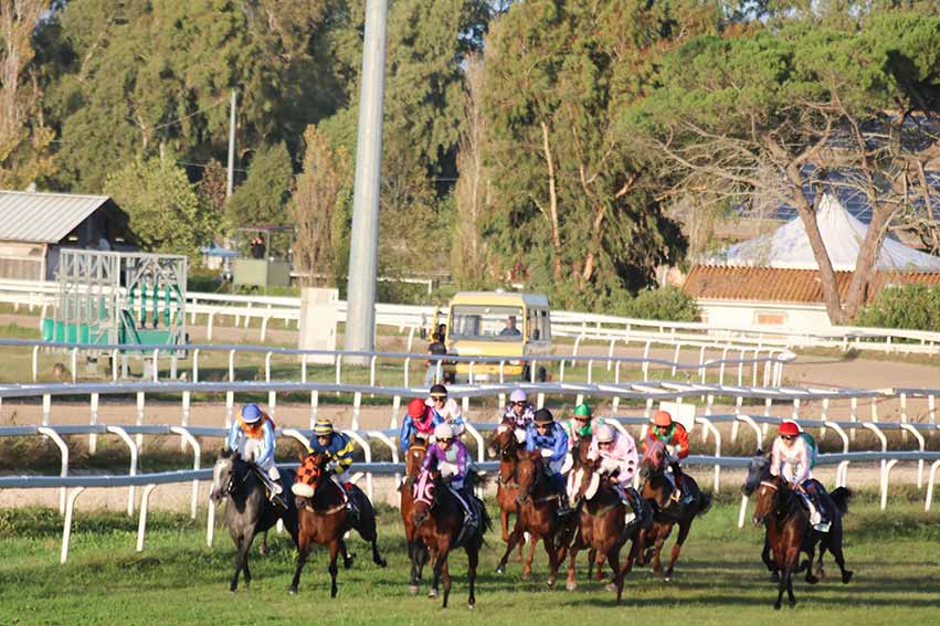 Ippodromo Chilivani, 3ª giornata della riunione autunnale con corse di routine, periziate e condizionate 1 Partenza Corse ippodromo Chillivani