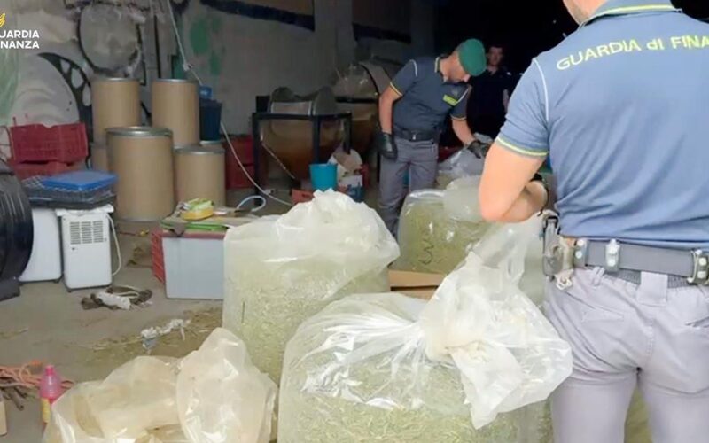 Sequestro Cannabis azienda del Sassarese