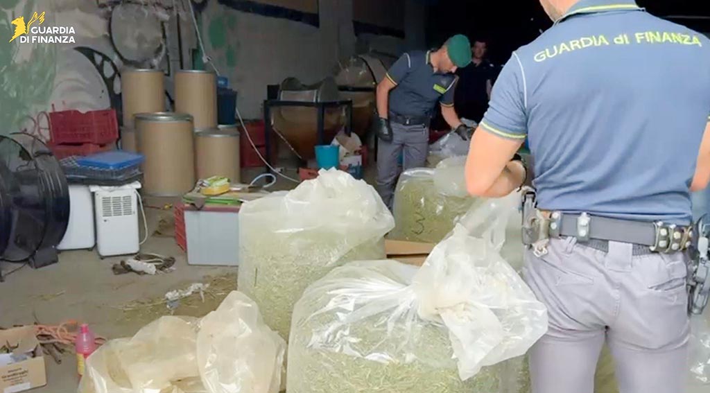 Sequestro Cannabis azienda del Sassarese