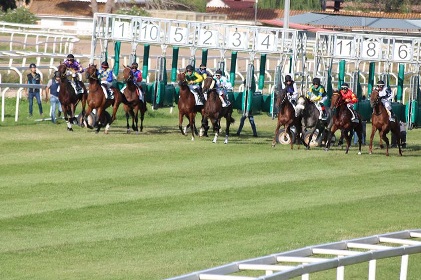 Ippodromo di Chilivani, seconda giornata della riunione autunnale 1 Sgabbiata ippodromo di Chilivani