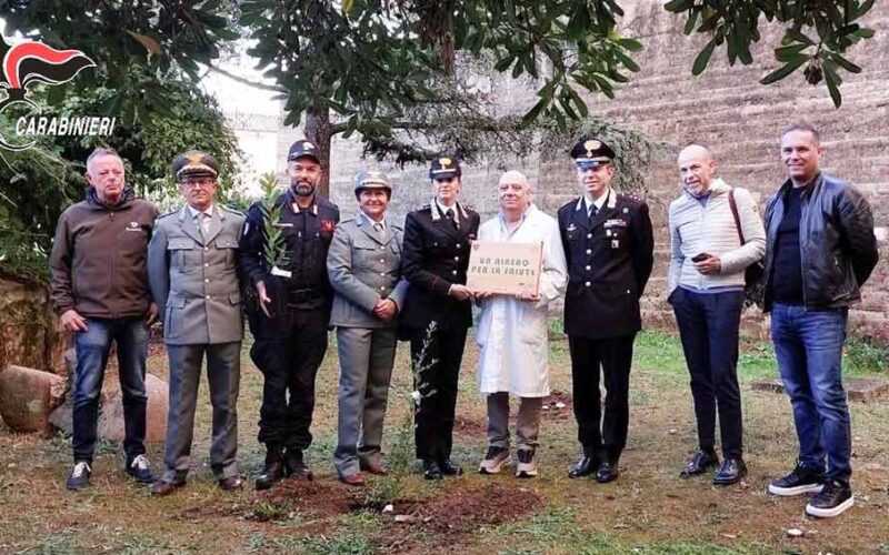 Un albero per la salute a Tempio