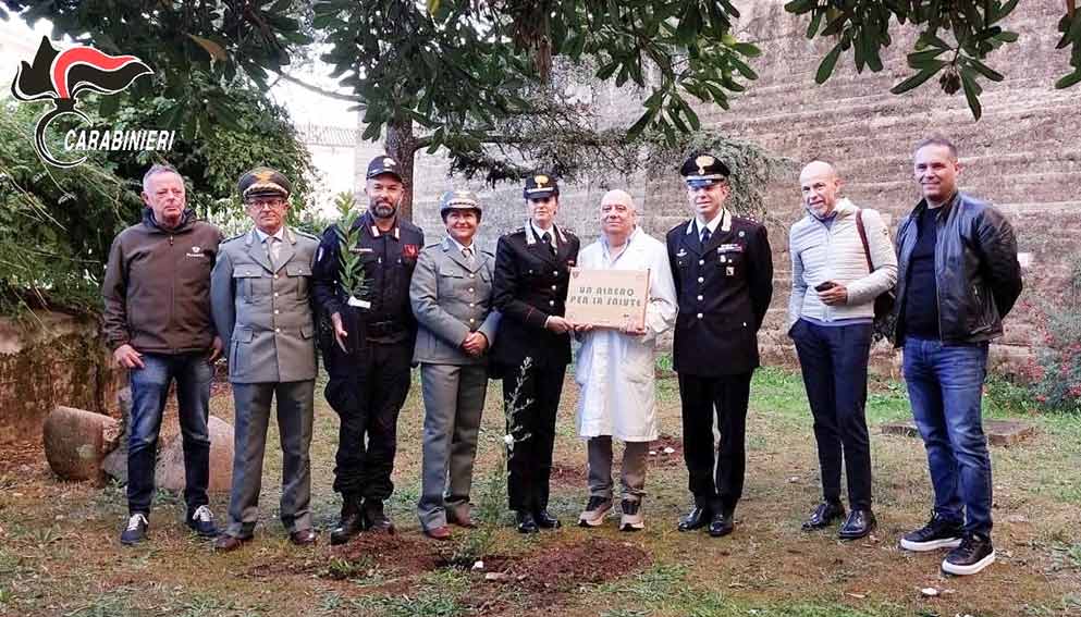 "Un albero per la salute" donato all'ospedale di Tempio 1 Un albero per la salute a Tempio