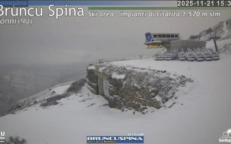 Bruncu Spina neve