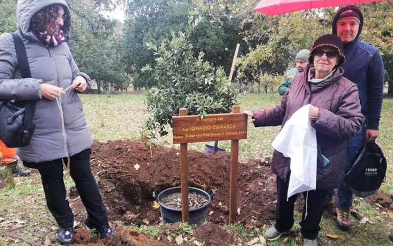 Piantumazione alberi Iscuvude Illorai