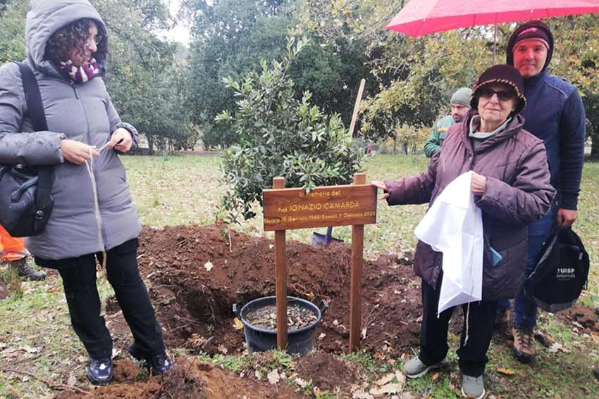 Piantumazione alberi Iscuvude Illorai