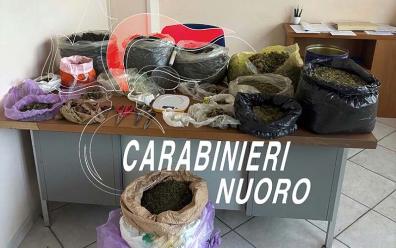 Droga a Desulo arrestato 28enne