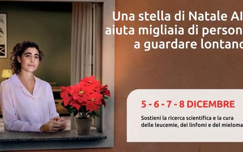 Stelle di Natale Ail Ozieri Nughedu