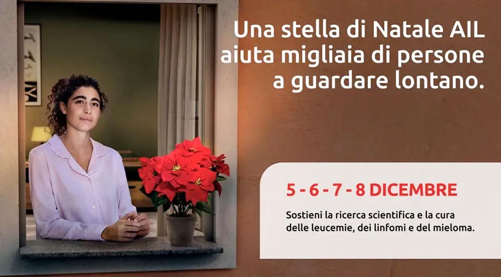 Stelle di Natale Ail Ozieri Nughedu