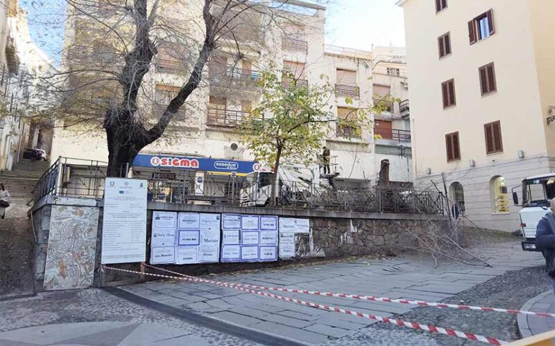 Taglio Alberi piazza Mazzini Ozieri