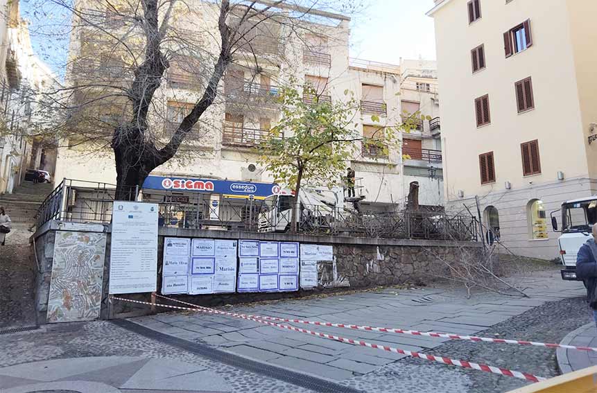Taglio Alberi piazza Mazzini Ozieri