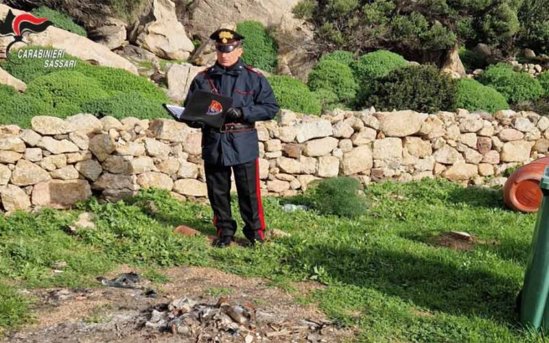 Controlli dei Carabinieri allAsinara