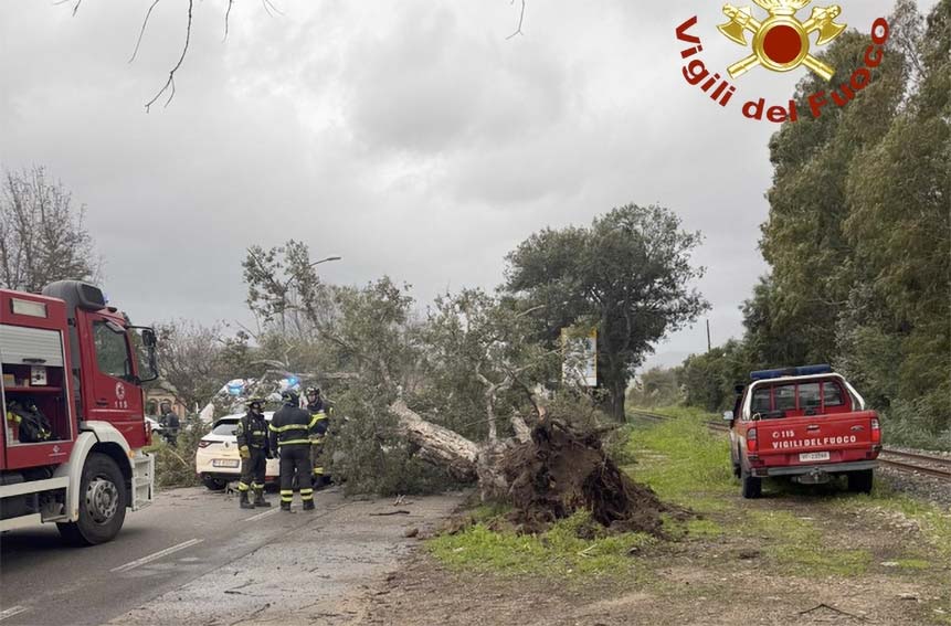 Maltempo Sardegna albero sradicato Tortoli