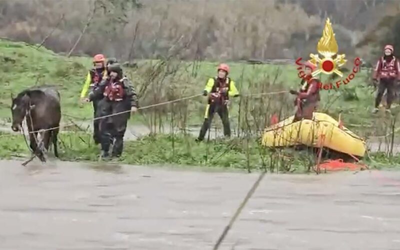 Salvataggio cavallo a Oliena