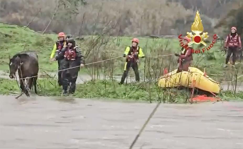 Salvataggio cavallo a Oliena