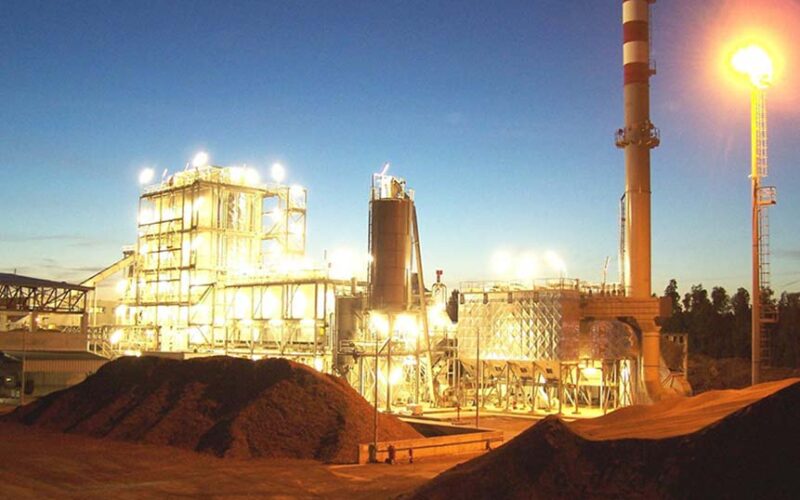 Biomasse Serramanna 2