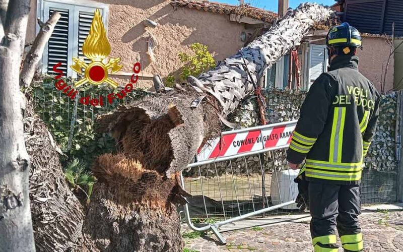 Maltempo Gallura forte vento