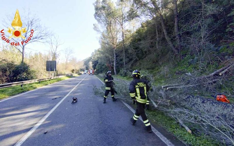 Maltempo Nuorese forte vento