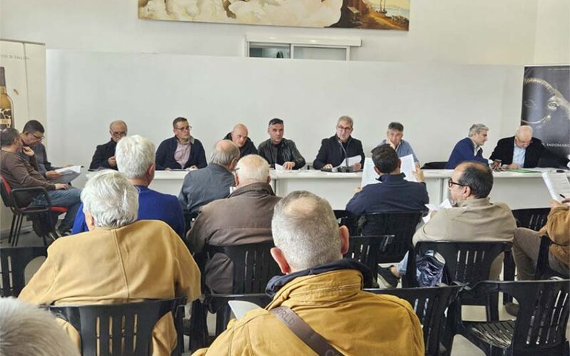 Assemblea Cantina del Vermentino Monti