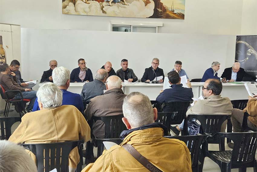 Monti, quasi 11 milioni di euro di fatturato per la Cantina del Vermentino 1 Assemblea Cantina del Vermentino Monti