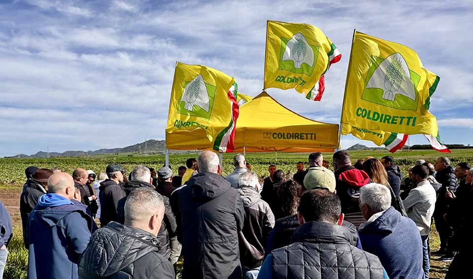 Agricoltori e allevatori sardi scendono in piazza mercoledì a Cagliari 1 Coldiretti Sardegna